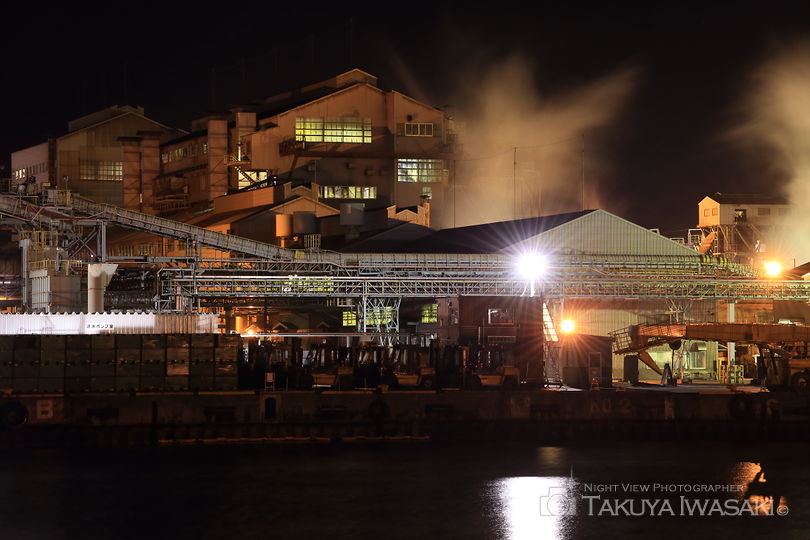 沼館緑地公園の工場夜景スポット写真（2）