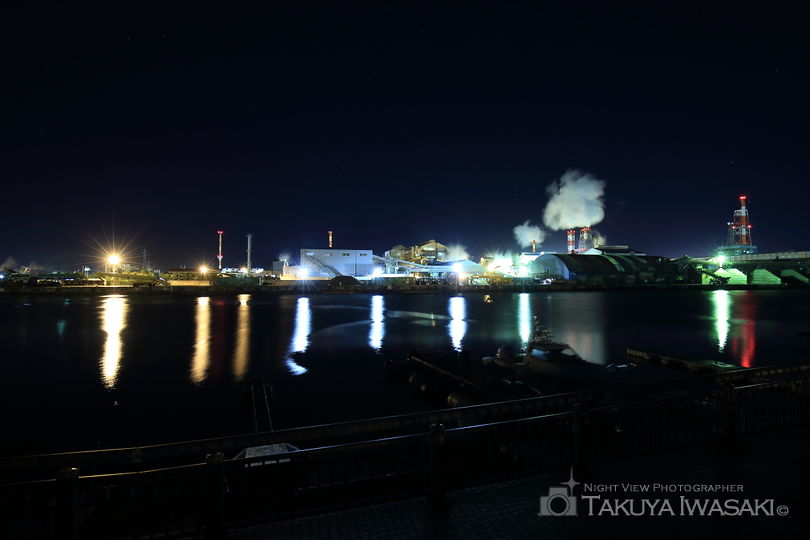 沼館緑地公園の工場夜景スポット写真（3）