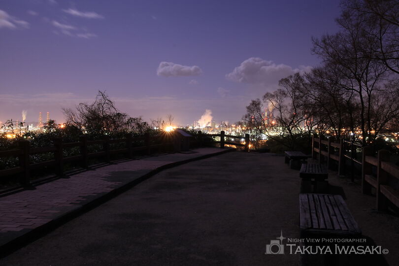 亀島山花と緑の丘公園 展望広場の工場夜景スポット写真（5）