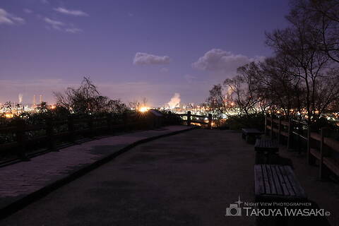 亀島山花と緑の丘公園 展望広場の工場夜景スポット写真（5）class=