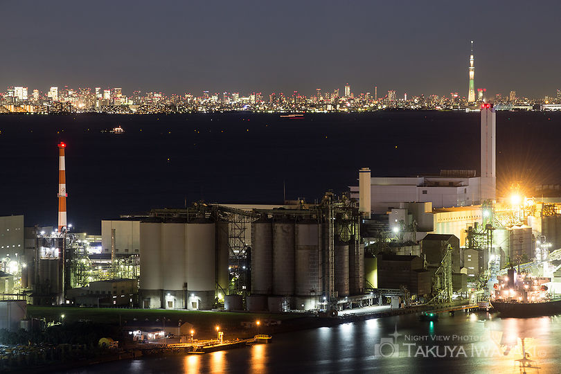 千葉ポートタワーの工場夜景スポット写真（2）