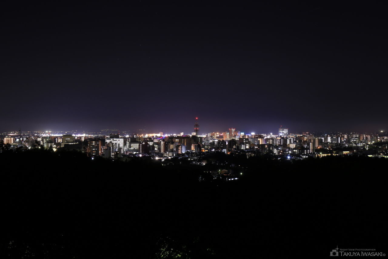 愛宕山記念公園の夜景スポット写真（1）