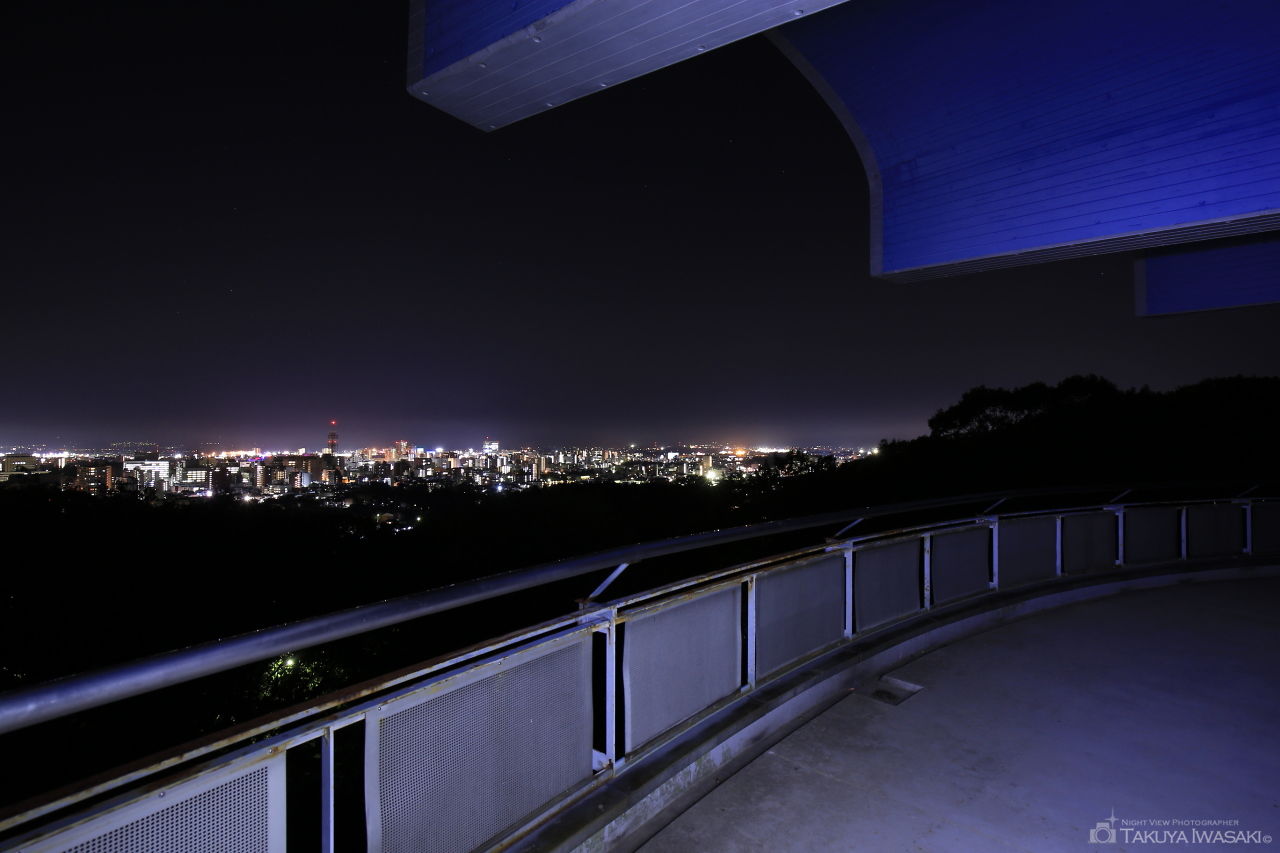 愛宕山記念公園の夜景スポット写真（3）