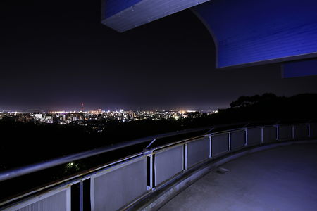 愛宕山記念公園の夜景スポット写真（3）class=