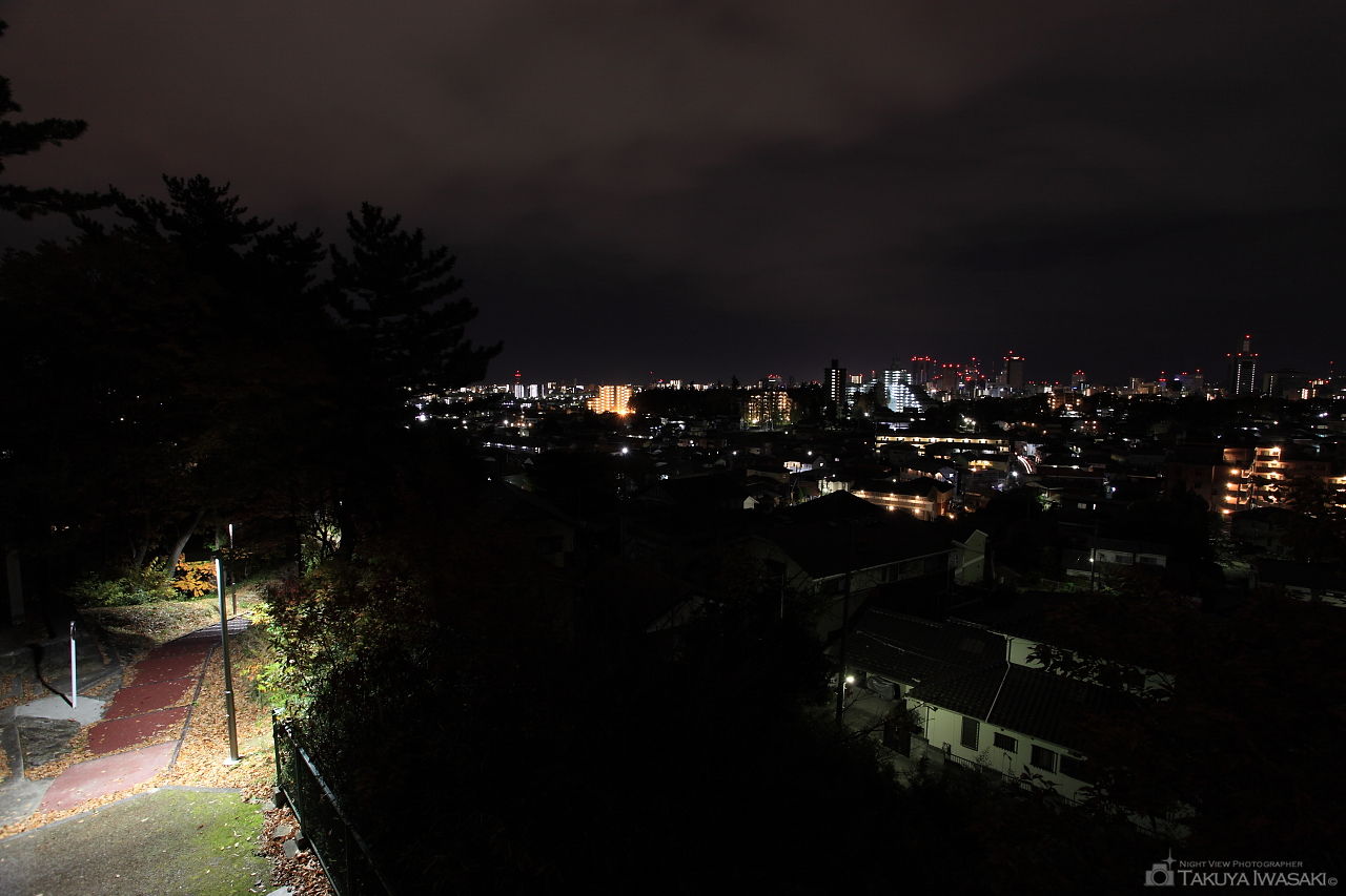 瞑想の松 展望台の夜景スポット写真（2）