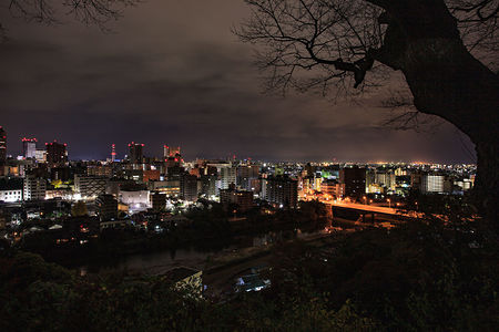 愛宕神社の夜景スポット写真（1）class=