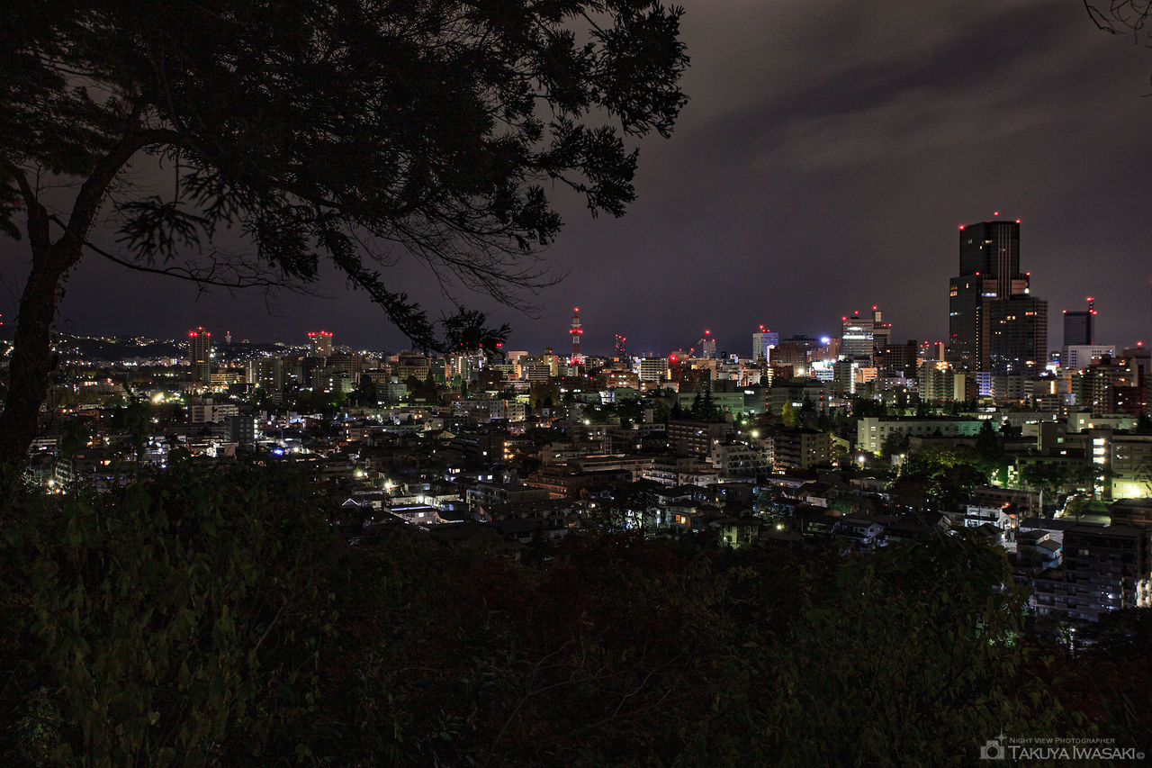 愛宕神社の夜景スポット写真（2）
