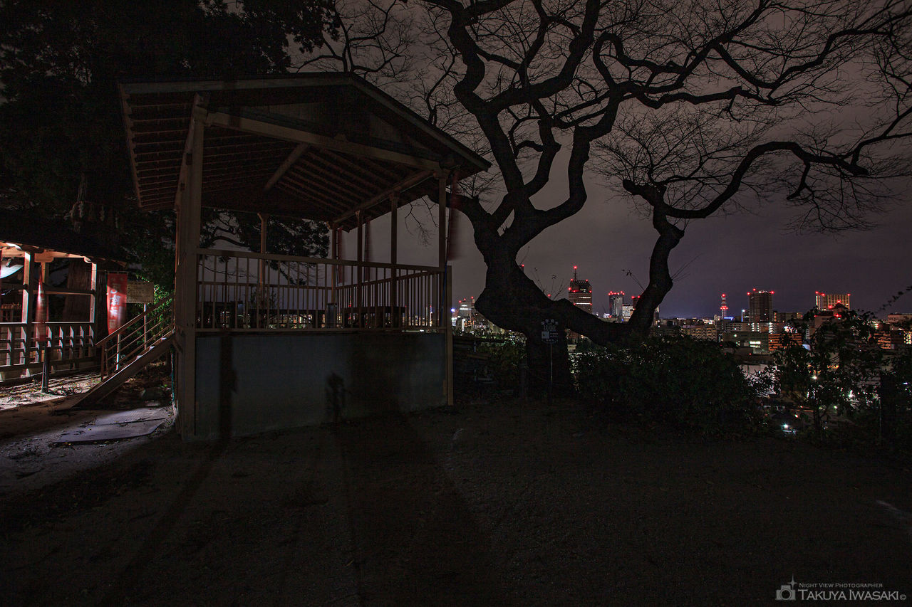 愛宕神社の夜景スポット写真（4）