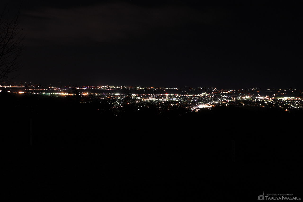 グリーンピア岩沼 第一展望台の夜景スポット写真（1）