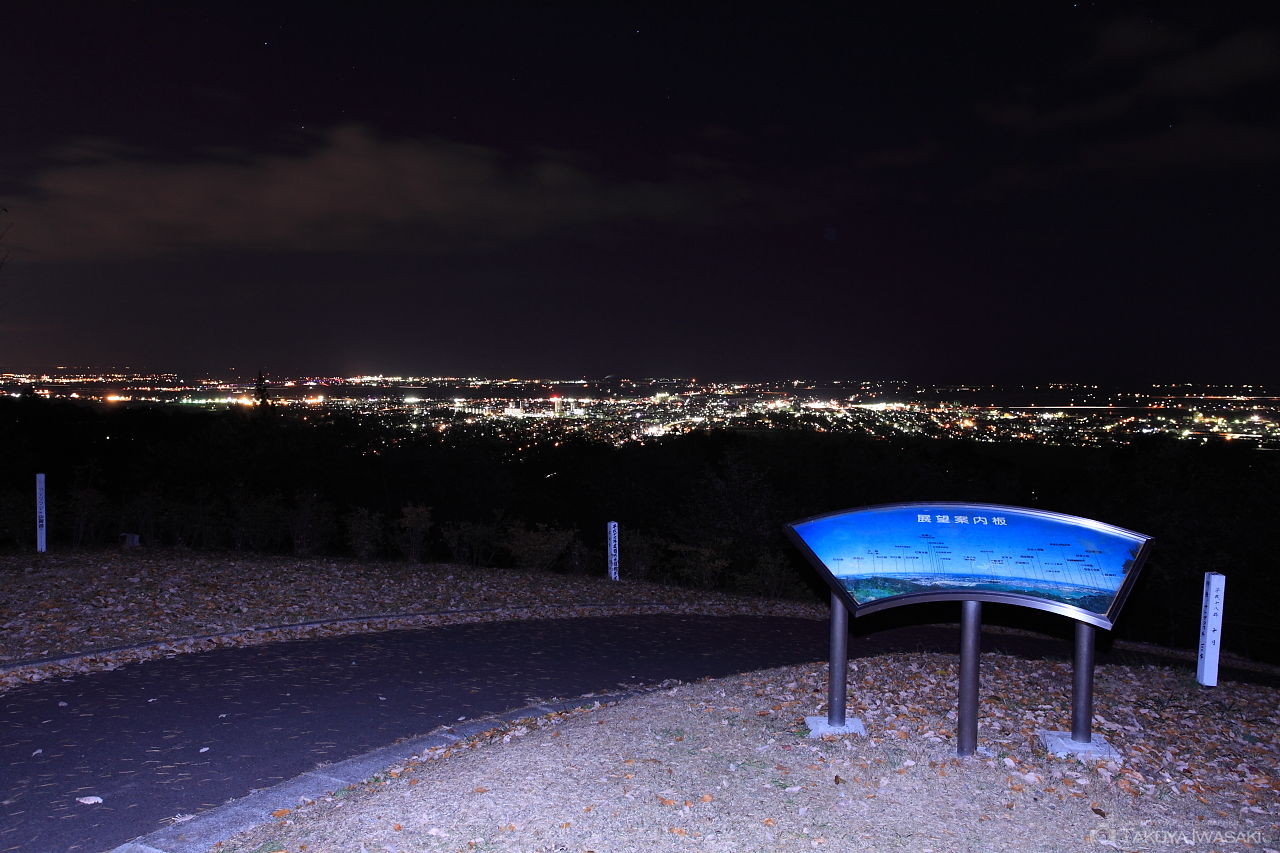 グリーンピア岩沼 第一展望台の夜景スポット写真（3）
