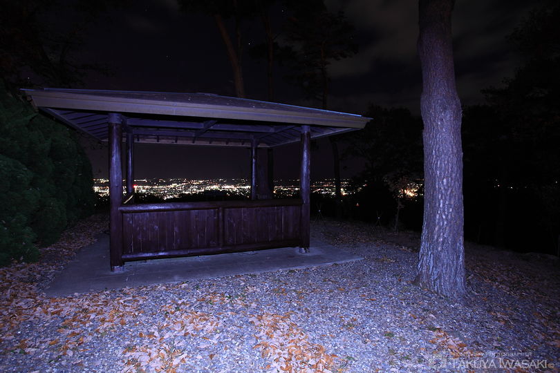 グリーンピア岩沼 第一展望台の夜景スポット写真（4）