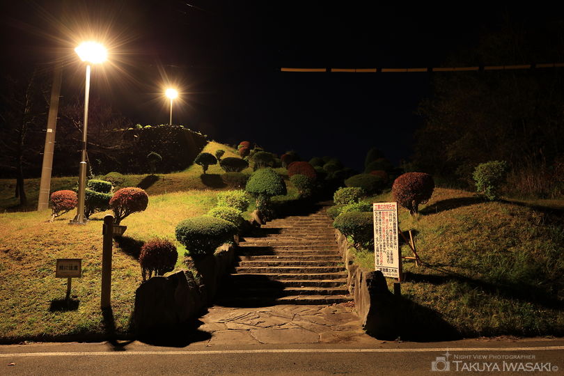 大森山公園の夜景スポット写真（5）