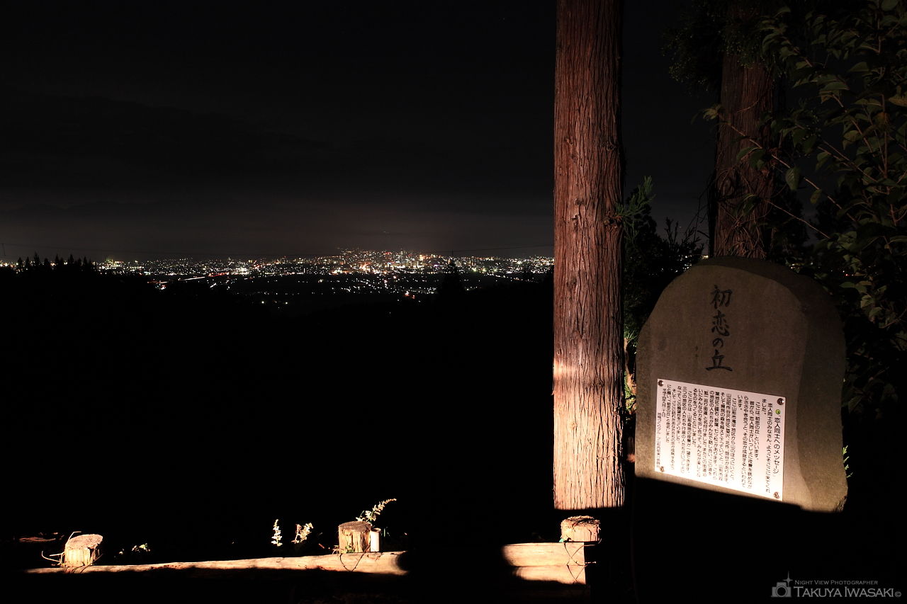 初恋の丘の夜景スポット写真（2）