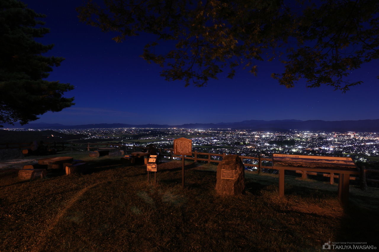 御成山公園の夜景スポット写真（3）