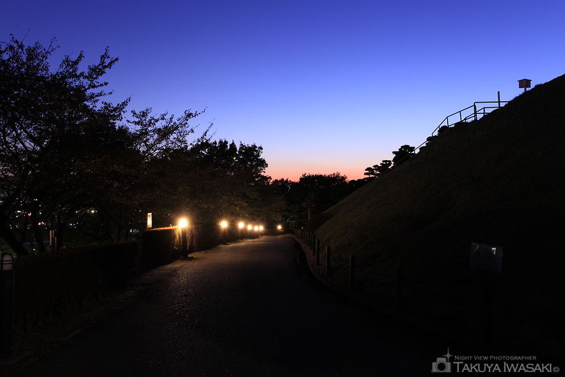 織姫公園の夜景スポット写真（3）