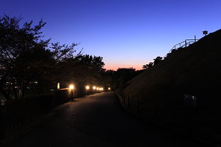 織姫公園の夜景スポット写真（3）class=