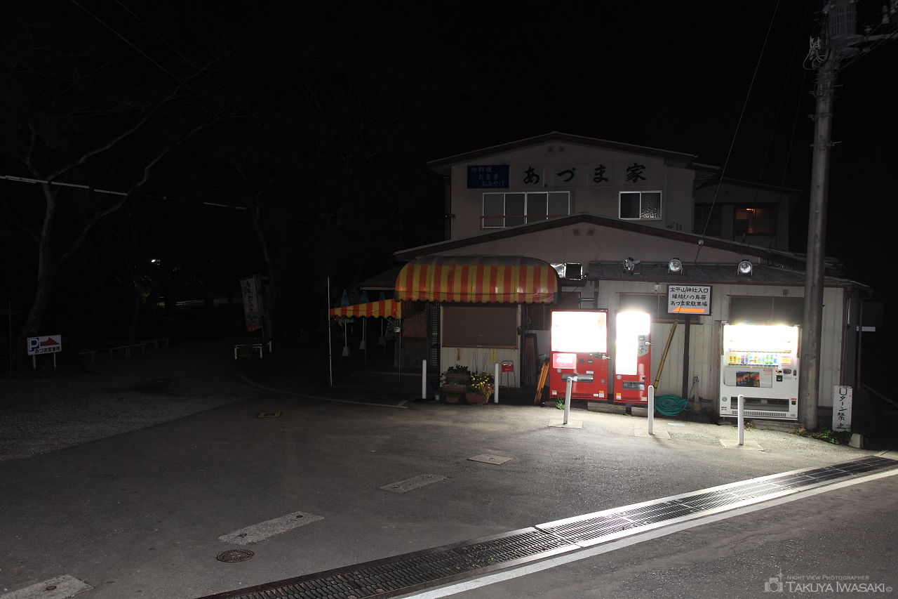 太平山 あづま家の夜景スポット写真（3）