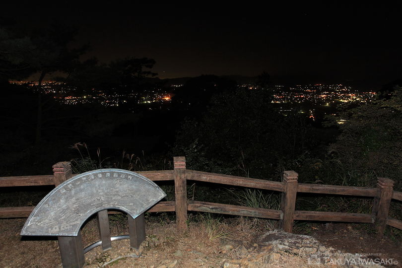 唐沢山の夜景スポット写真（2）