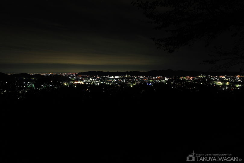 水道山公園の夜景スポット写真（1）