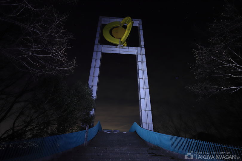 秩父ミューズパーク展望台の夜景スポット写真（4）