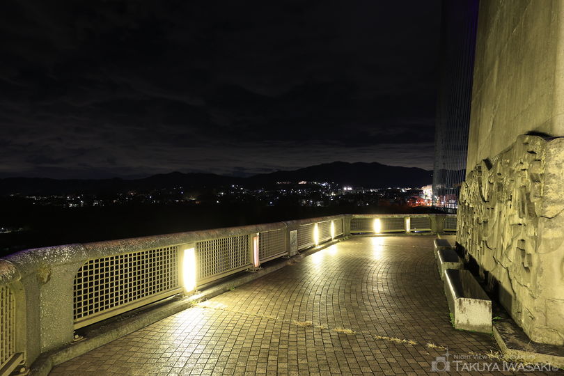 秩父公園橋の夜景スポット写真（3）