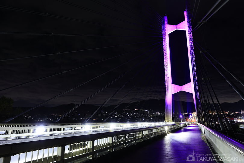 秩父公園橋の夜景スポット写真（4）