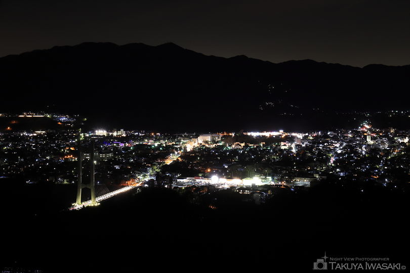 秩父ミューズパーク 旅立ちの丘の夜景スポット写真（2）