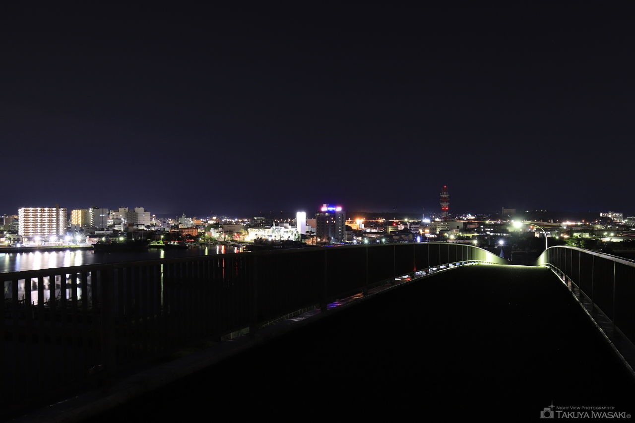 中の島大橋の夜景スポット写真（2）