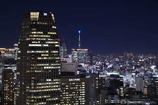 東京タワー メインデッキの夜景スポット写真（3）class=