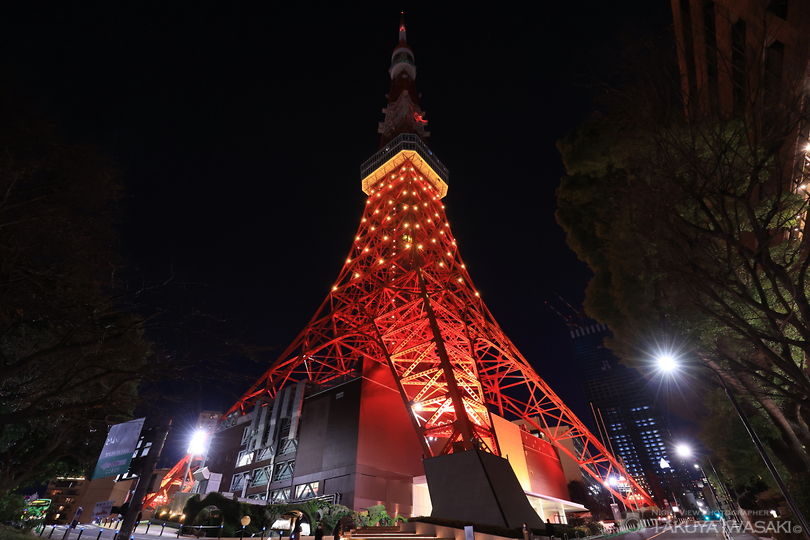 東京タワー メインデッキの夜景スポット写真（6）