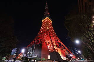 東京タワー メインデッキの夜景スポット写真（6）class=