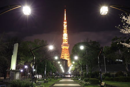 ライトアップされた東京タワーを望む