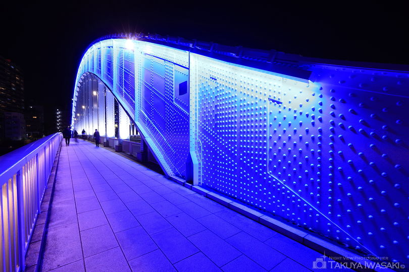 永代橋 北側歩道の夜景スポット写真（5）