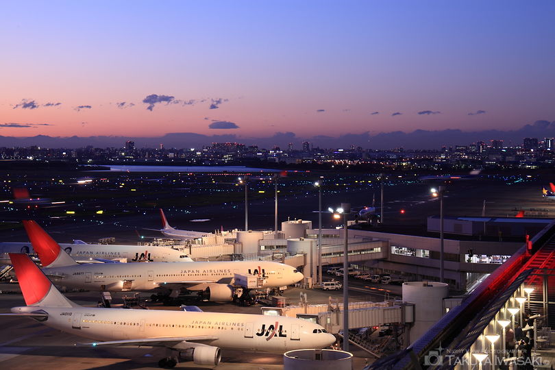 羽田空港 第1旅客ターミナル 展望デッキの夜景スポット写真（1）