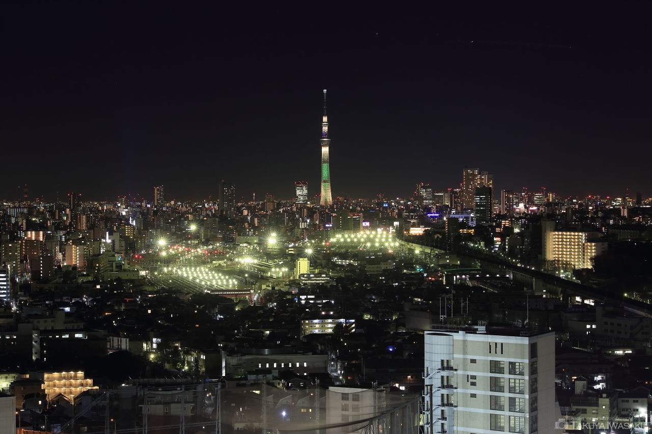 正面に東京スカイツリーを望む