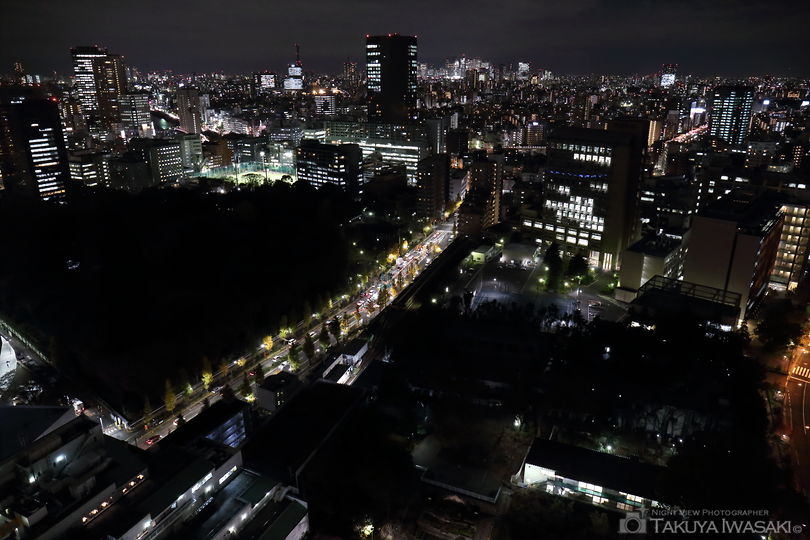 文京シビックセンター 展望ラウンジの夜景スポット写真（3）