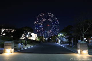 葛西臨海公園の夜景スポット写真（6）class=