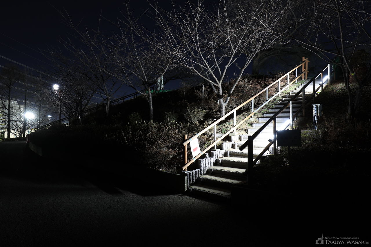 なぎさ公園の夜景スポット写真（3）