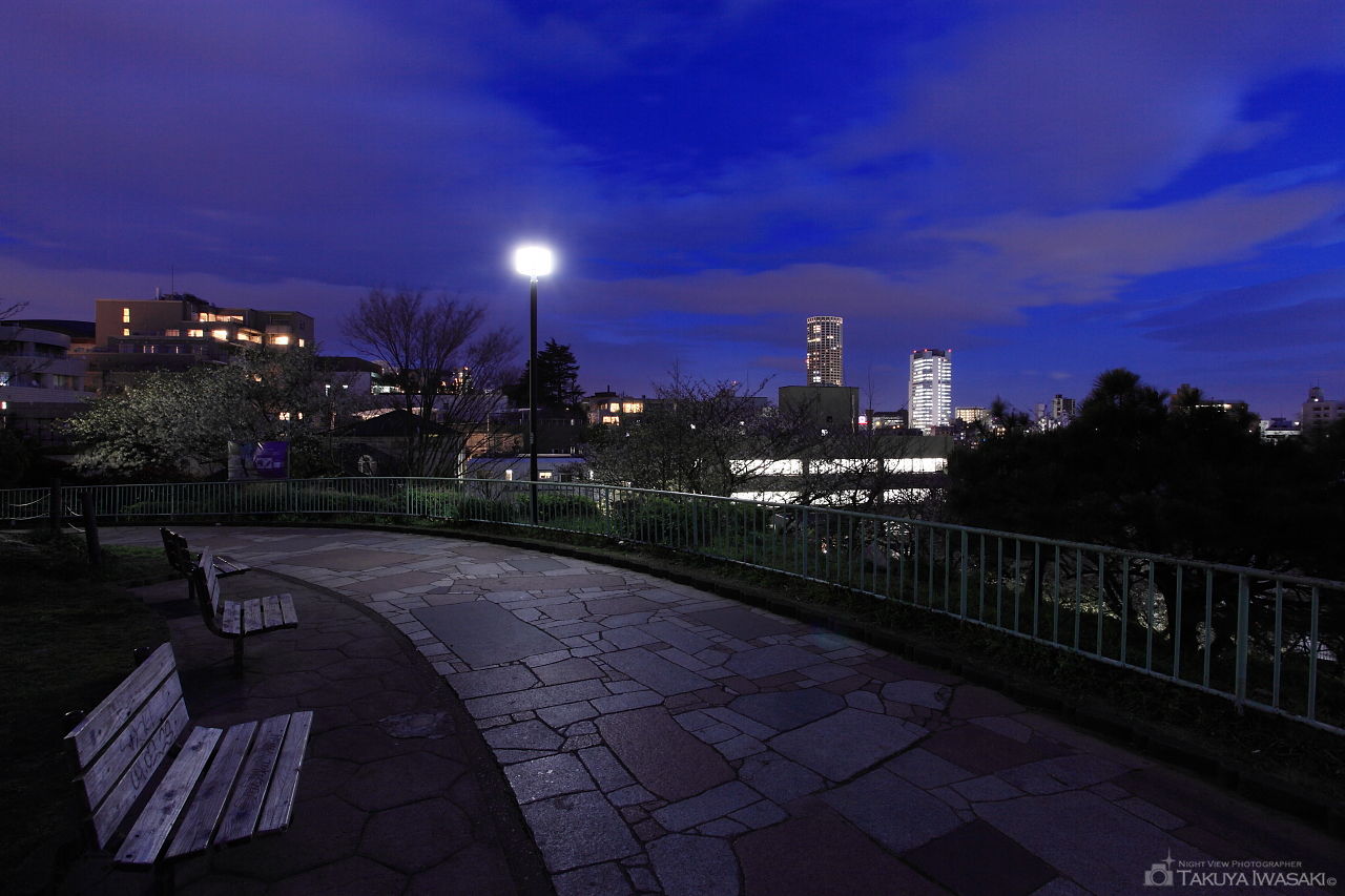 西郷山公園の夜景スポット写真（3）