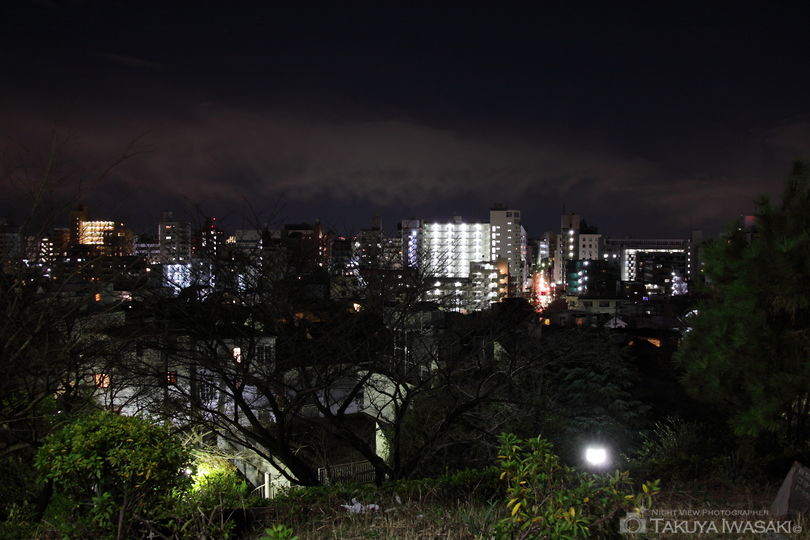 西郷山公園の夜景スポット写真（4）