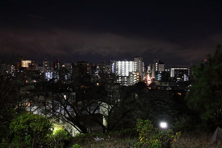 西郷山公園の夜景スポット写真（4）class=