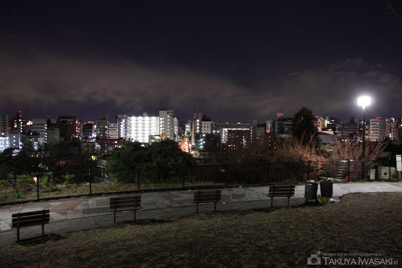 西郷山公園の夜景スポット写真（5）