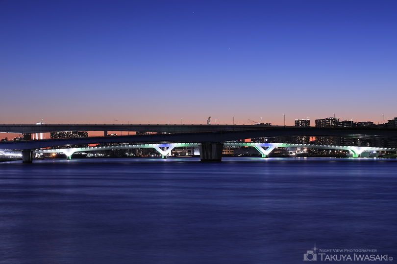 春海橋公園の夜景スポット写真（1）