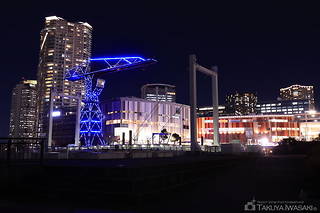 春海橋公園の夜景スポット写真（3）class=