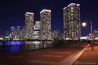 春海橋公園の夜景スポット写真（6）class=
