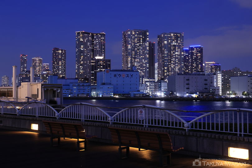竹芝桟橋の夜景スポット写真（3）