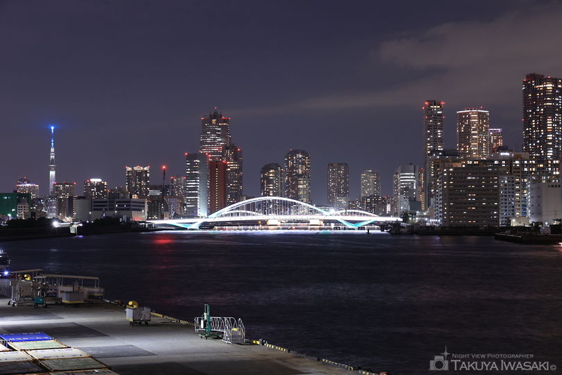竹芝桟橋の夜景スポット写真（4）