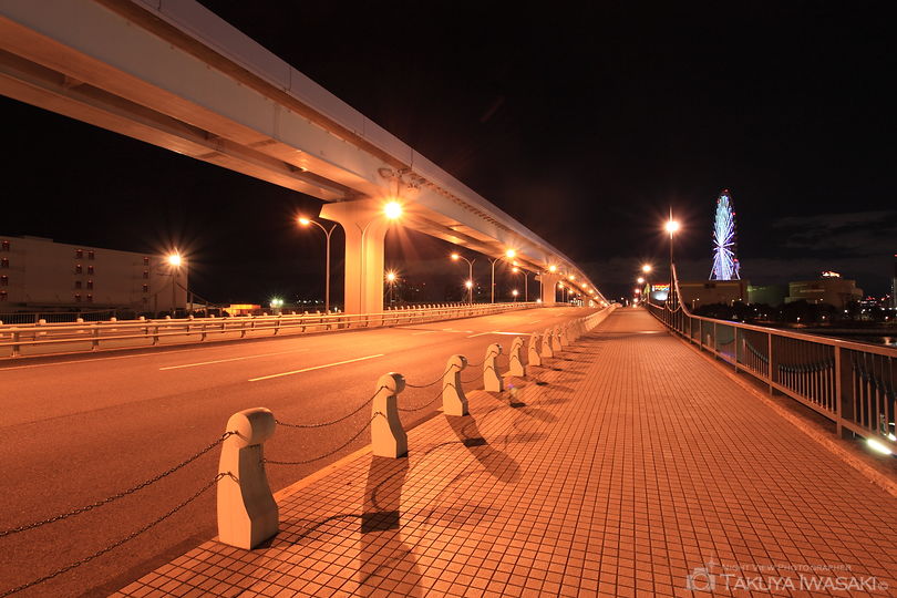あけみ橋の夜景スポット写真（5）