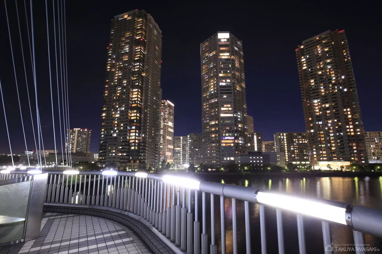 東雲水辺公園・辰巳桜橋の夜景（東京都江東区）