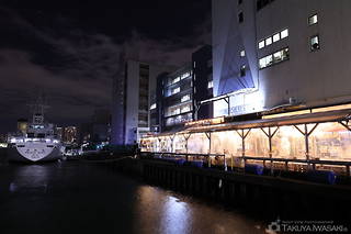 豊海運動公園の夜景スポット写真（2）class=